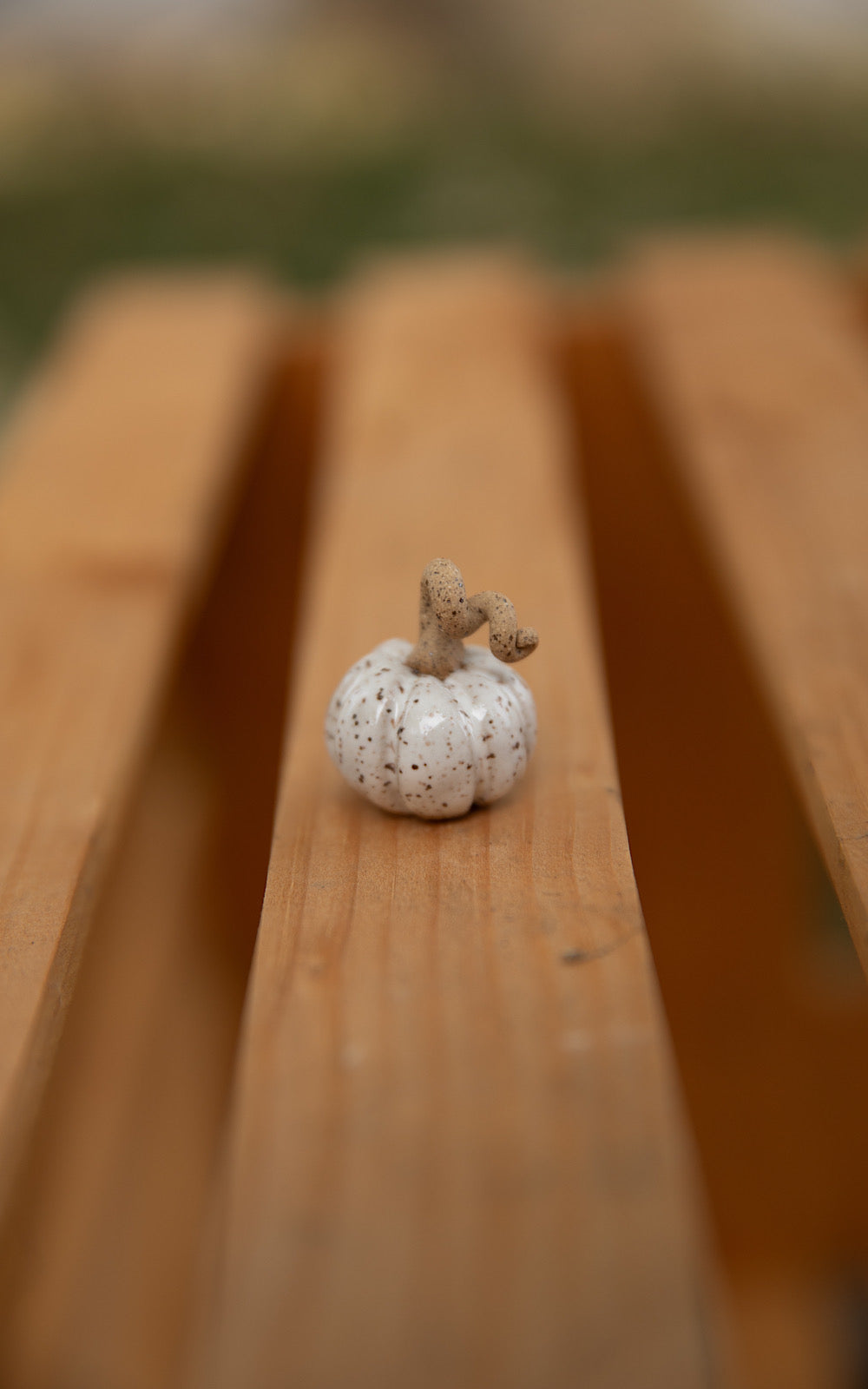 Tiny pumpkins