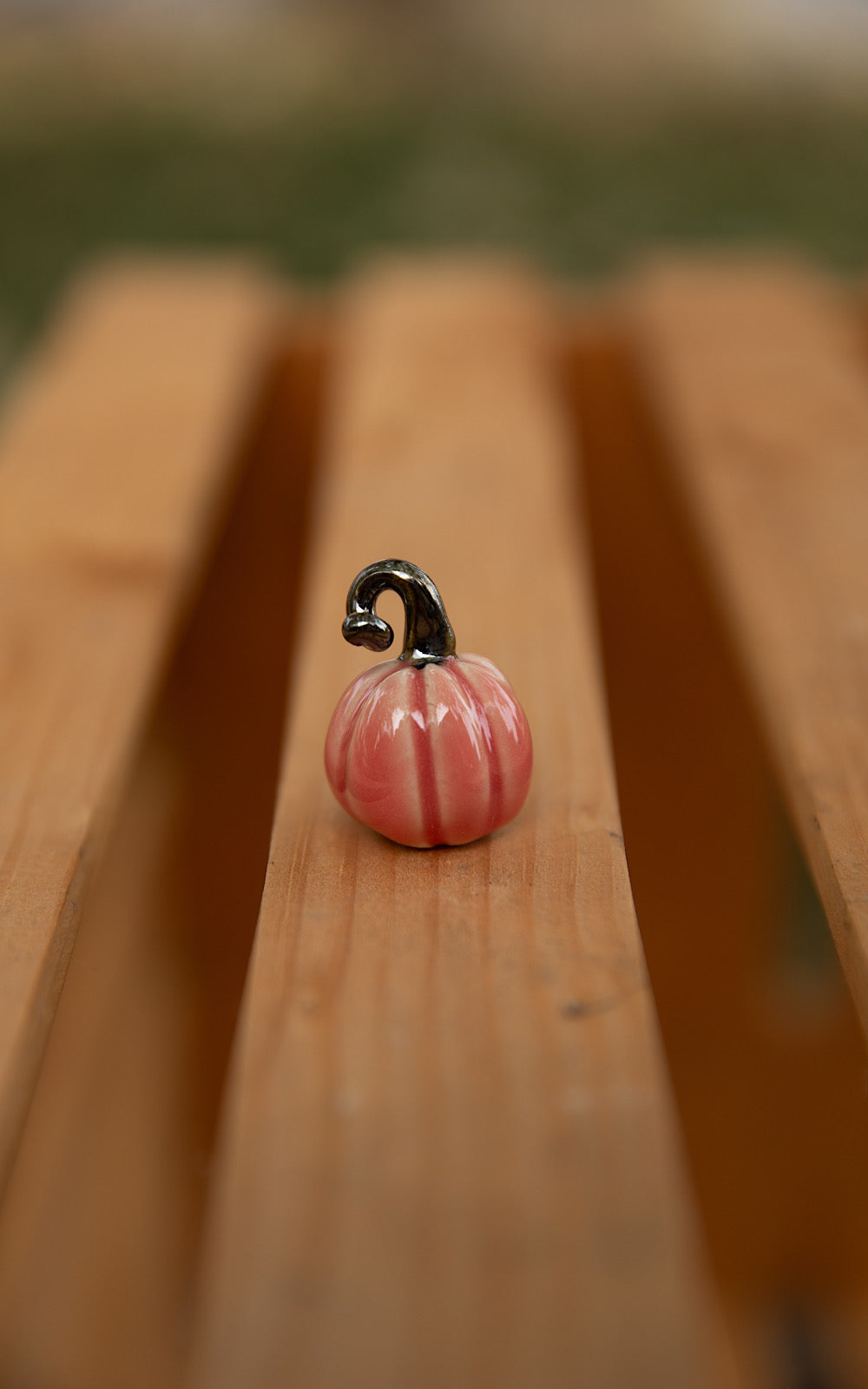 Tiny pumpkins