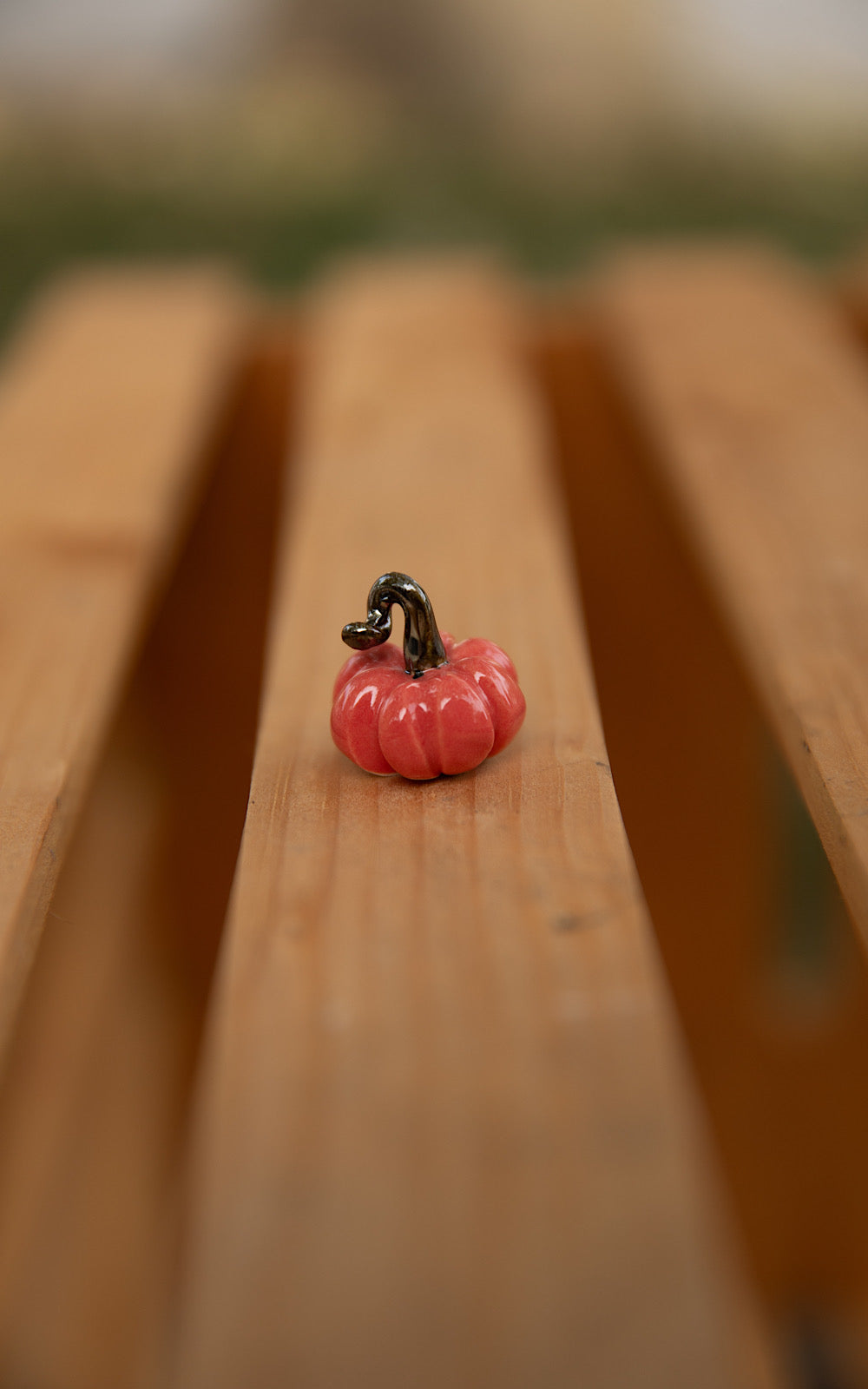 Tiny pumpkins