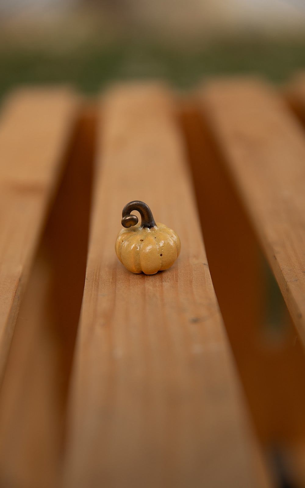 Tiny pumpkins