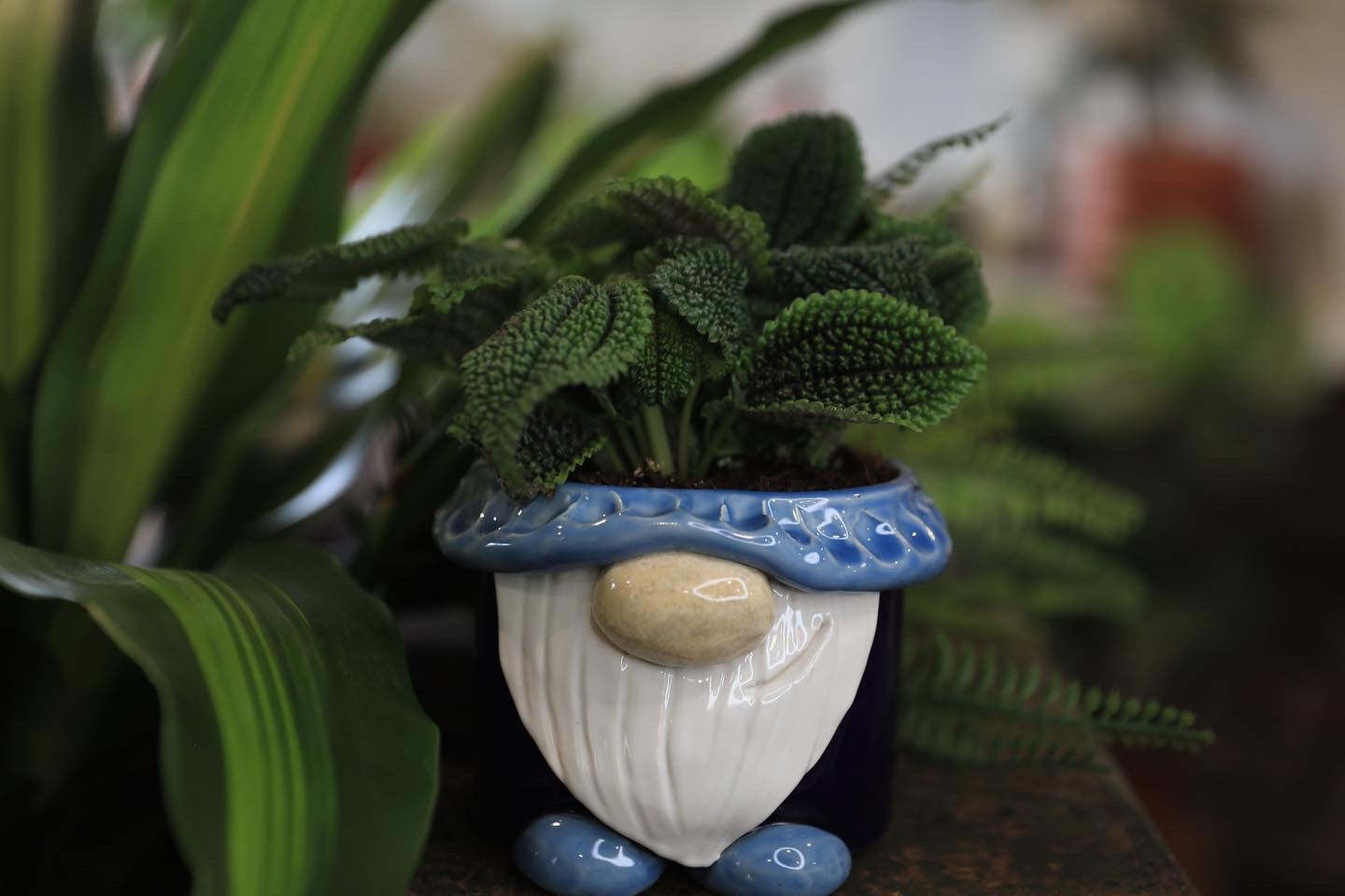 gnome plant pot Gnome planter