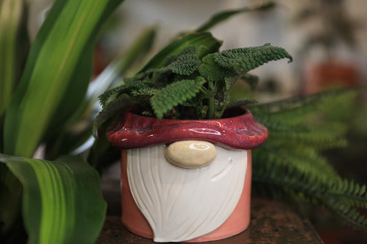 Gnome planter