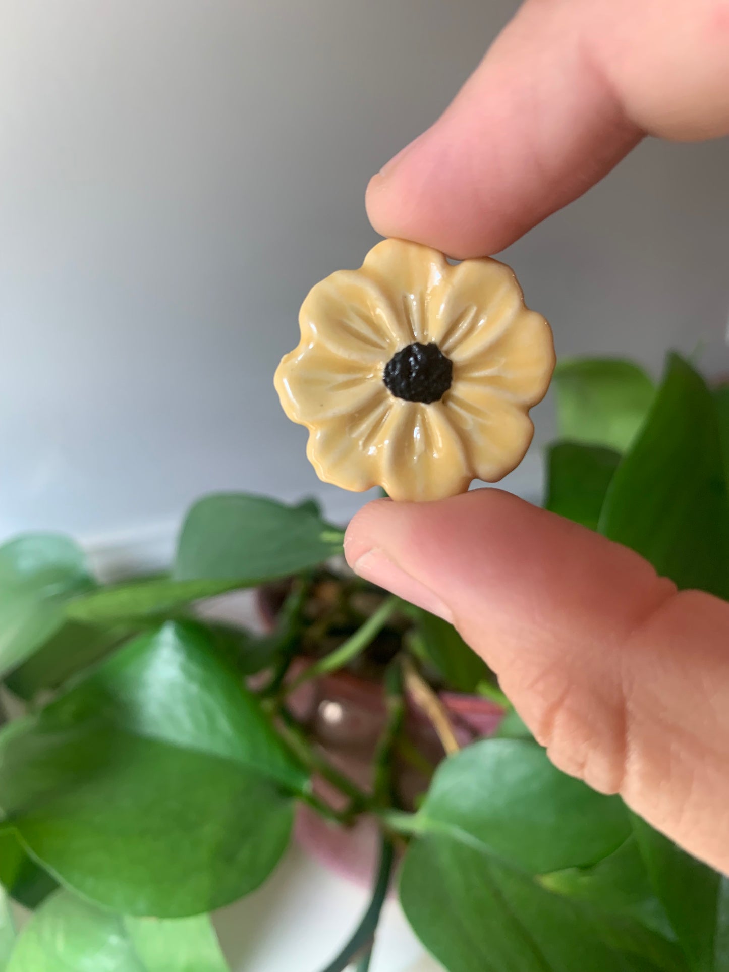 Small flower magnets