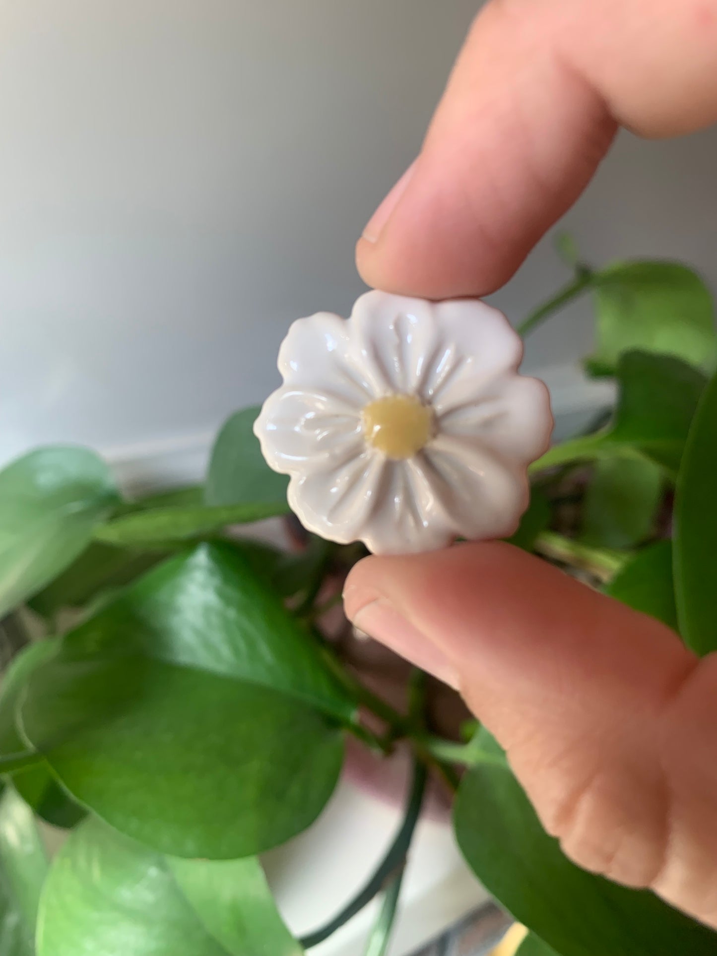 Small flower magnets