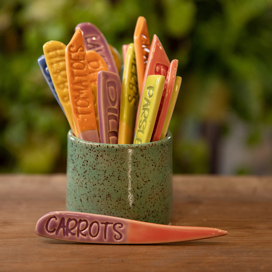 Garden plant stake-carrots