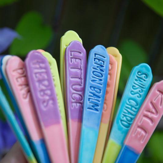 Plant Stakes- Fruit and Veggies Part 2