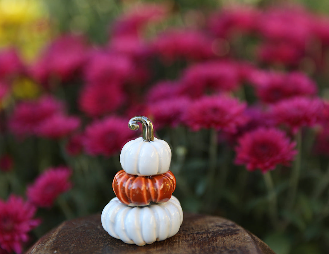 Pumpkin stack pre order