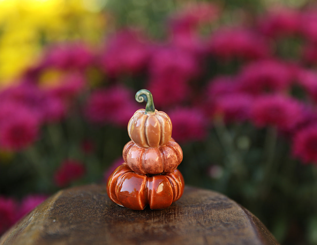 Pumpkin stack pre order